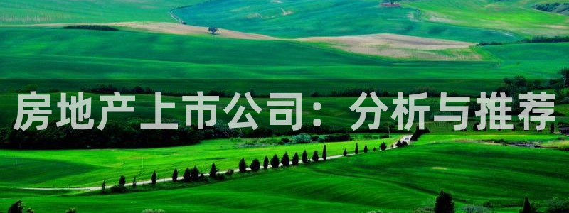 和记集团官网
