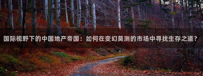 和记娱乐平台官网：国际视野下的中国地产帝国：如何在变幻莫测的