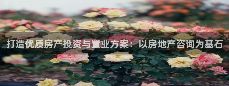 和记官网手机新版app下载：打造优质房产投资与置业方案：以房