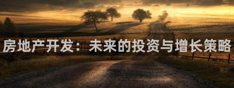 和记网开户官网：房地产开发：未来的投资与增长策略