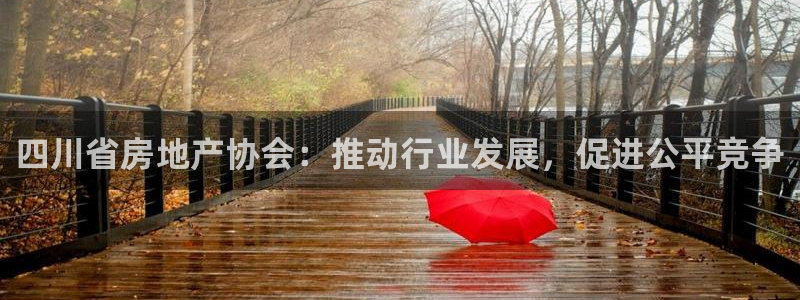 白云 和记黄埔官网：四川省房地产协会：推动行业发展，促进公平