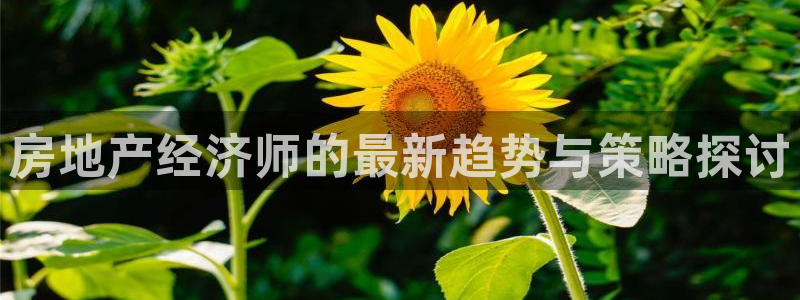 和记官网地址：房地产经济师的最新趋势与策略探讨