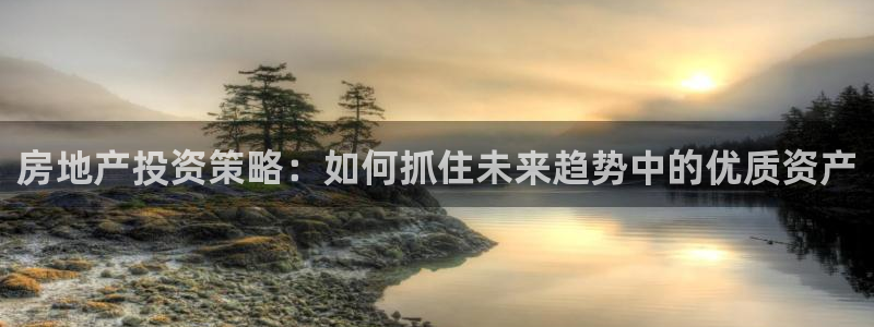 和记国际平台官网：房地产投资策略：如何抓住未来趋势中的优质资