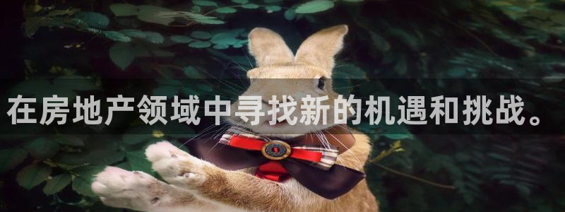 和记官网手机版：在房地产领域中寻找新的机遇和挑战。