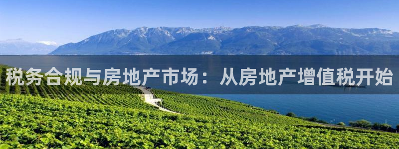 和记国际电讯官网：税务合规与房地产市场：从房地产增值税开始