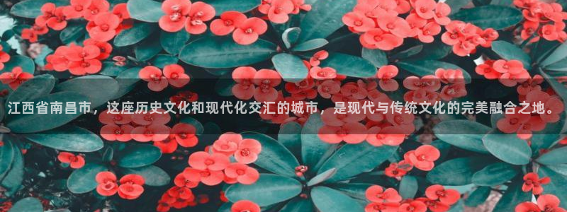 和记开户官网：江西省南昌市，这座历史文化和现代化交汇的城市，