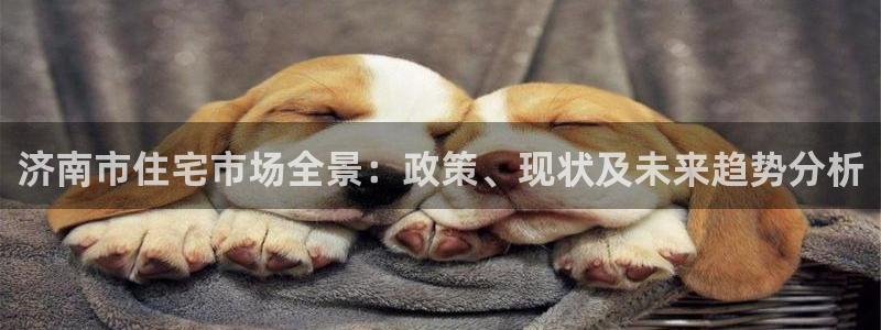 和记官网怡情娱乐：济南市住宅市场全景：政策、现状及未来趋势分
