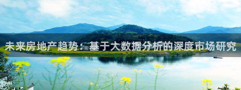 和记官网加盟：未来房地产趋势：基于大数据分析的深度市场研究
