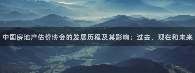 和记官网地址：中国房地产估价协会的发展历程及其影响：过去、现