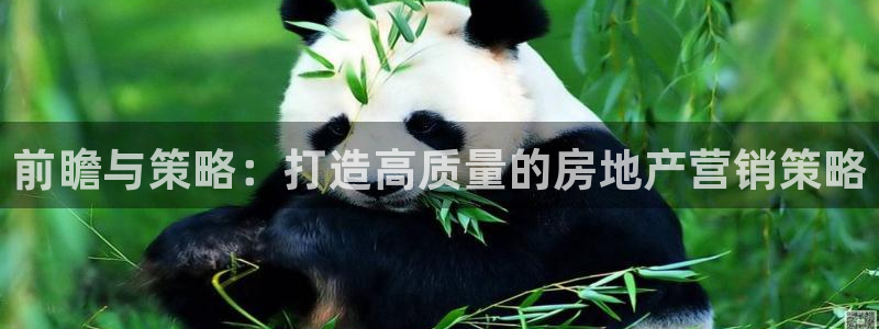 和记租车官网：前瞻与策略：打造高质量的房地产营销策略