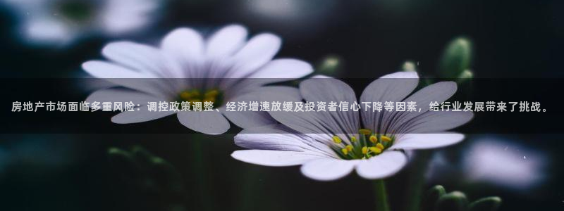 和记娱乐唯一官网：房地产市场面临多重风险：调控政策调整、经济