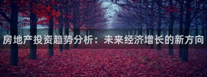 和记3官网：房地产投资趋势分析：未来经济增长的新方向