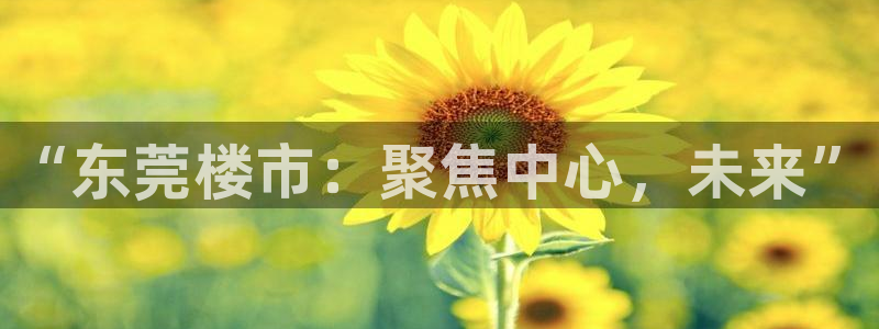 和记娱乐捕鱼官网：“东莞楼市：聚焦中心，未来”