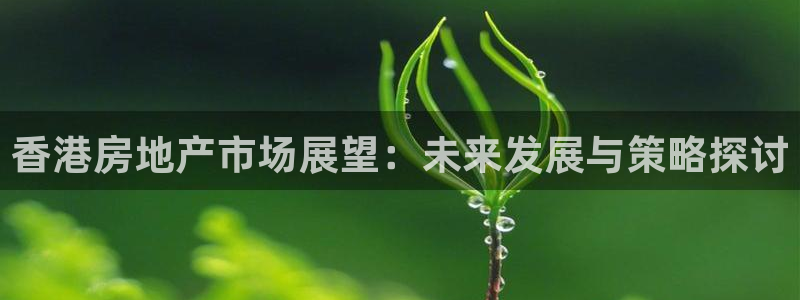 和记集团官网：香港房地产市场展望：未来发展与策略探讨