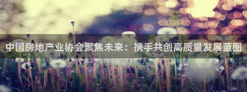 和记h88官网登陆：中国房地产业协会聚焦未来：携手共创高质量