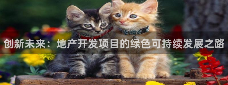 和记娱乐在线官网：创新未来：地产开发项目的绿色可持续发展之路