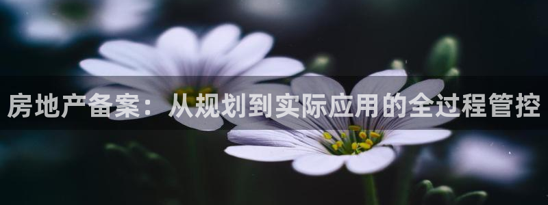 和记官网平台入口：房地产备案：从规划到实际应用的全过程管控