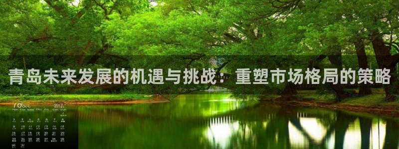 和记中国官网：青岛未来发展的机遇与挑战：重塑市场格局的策略