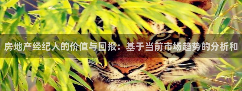和记h188官网：房地产经纪人的价值与回报：基于当前市场趋势