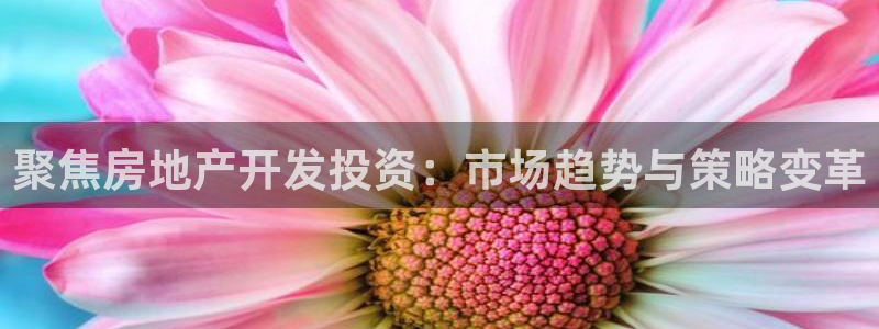 和记国际官网首页：聚焦房地产开发投资：市场趋势与策略变革