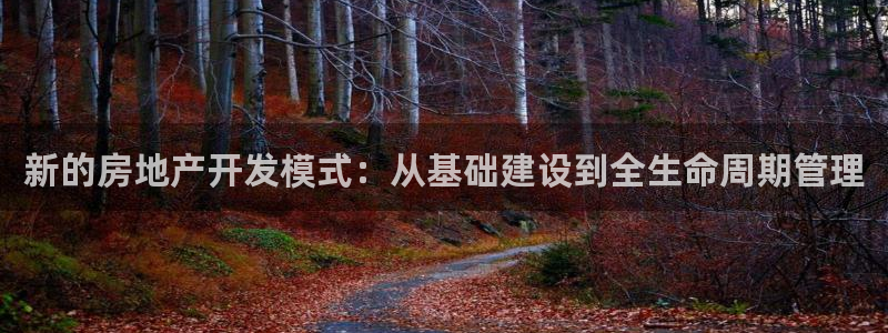 广州和记黄埔官网：新的房地产开发模式：从基础建设到全生命周期