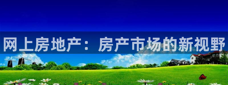 和帆记官网：网上房地产：房产市场的新视野
