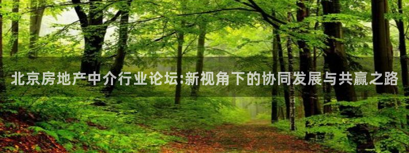 香港和记集团官网：北京房地产中介行业论坛:新视角下的协同发展