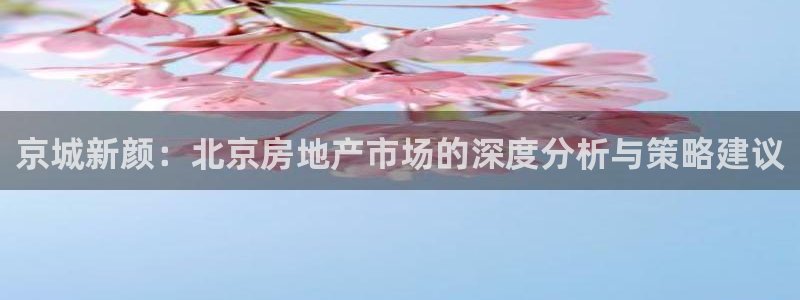 和记官网手机：京城新颜：北京房地产市场的深度分析与策略建议