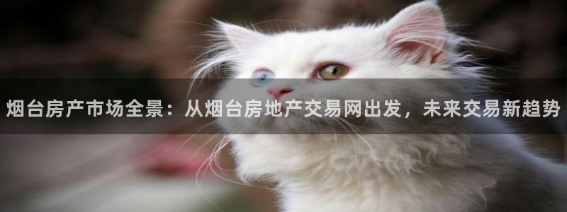 胡和记面官网：烟台房产市场全景：从烟台房地产交易网出发，未来