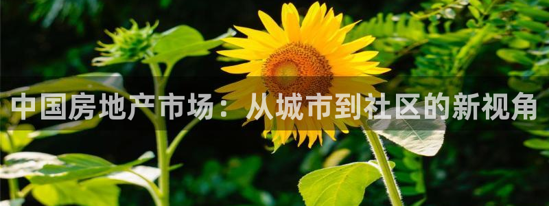胡和记官网：中国房地产市场：从城市到社区的新视角