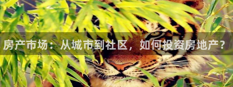 澳门和记官网：房产市场：从城市到社区，如何投资房地产？