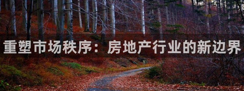 和记手机版官网：重塑市场秩序：房地产行业的新边界