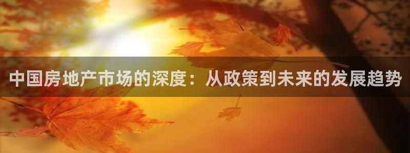 和记黄埔公司官网：中国房地产市场的深度：从政策到未来的发展趋