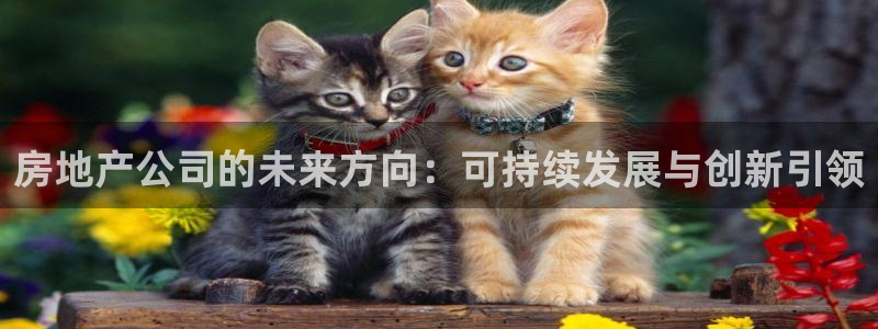 和记中国官网：房地产公司的未来方向：可持续发展与创新引领