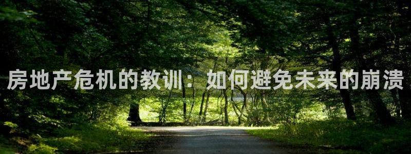 和记电游官网：房地产危机的教训：如何避免未来的崩溃