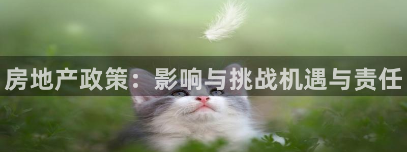 和记备用网官网开户