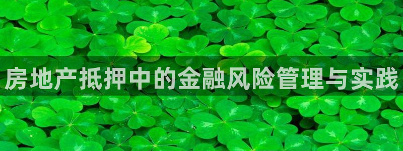 和记国际官网首页：房地产抵押中的金融风险管理与实践