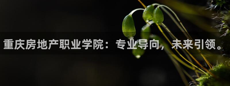 和记怡情博物官网