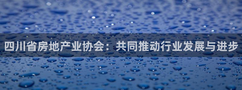 和记港口信托官网：四川省房地产业协会：共同推动行业发展与进步