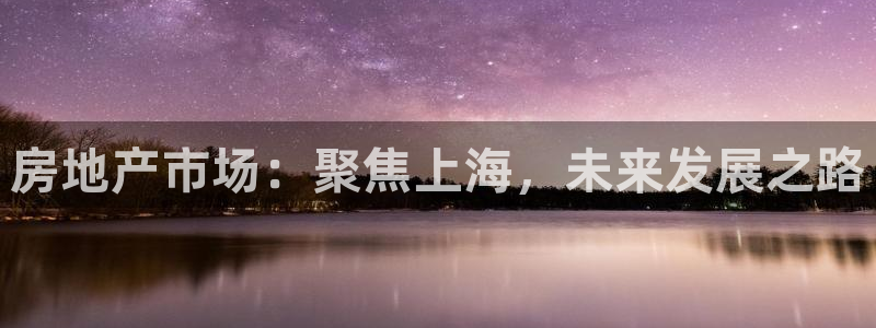 菲律宾和记官网：房地产市场：聚焦上海，未来发展之路