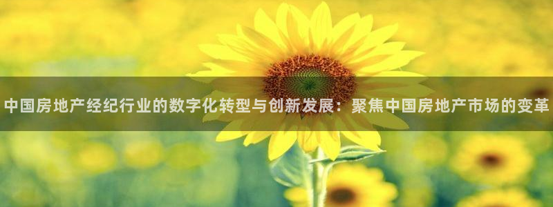 3和记官网：中国房地产经纪行业的数字化转型与创新发展：聚焦中