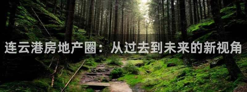 和记备用网官网开户：连云港房地产圈：从过去到未来的新视角