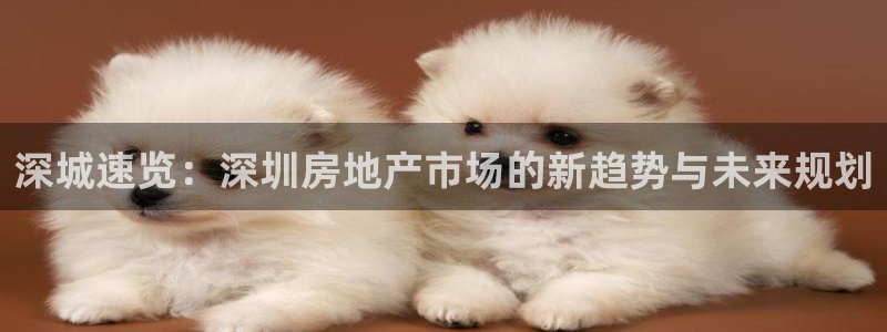 和记官网登录：深城速览：深圳房地产市场的新趋势与未来规划