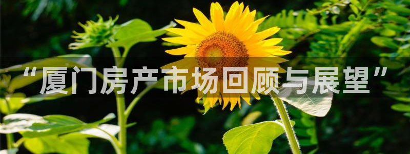 和记黄埔官网教育：“厦门房产市场回顾与展望”