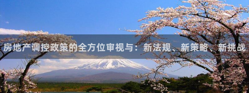 和记官网入口：房地产调控政策的全方位审视与：新法规、新策略、