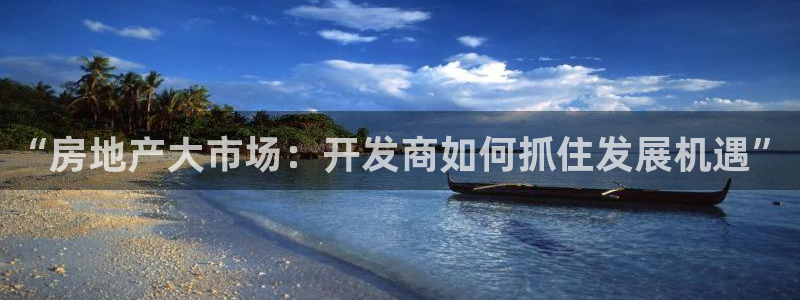 和记手游官网：“房地产大市场：开发商如何抓住发展机遇”