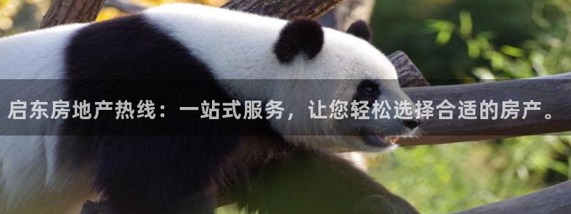 和记3国际万能卡官网：启东房地产热线：一站式服务，让您轻松选