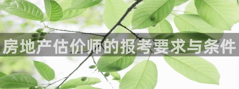 和记登录官网：房地产估价师的报考要求与条件