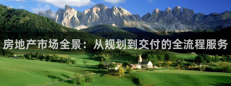 武汉和记黄埔官网：房地产市场全景：从规划到交付的全流程服务