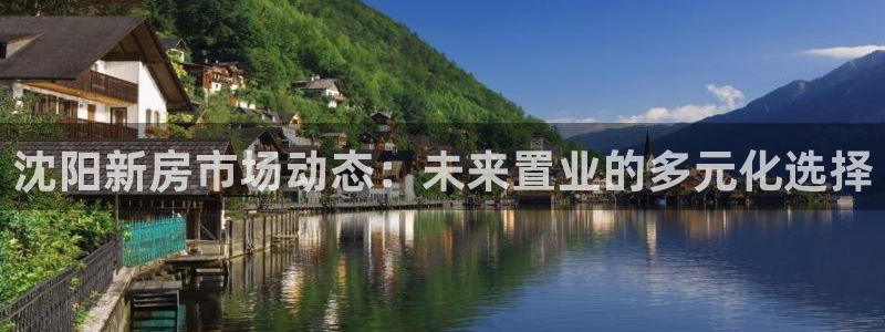 和记3国际万能卡官网：沈阳新房市场动态：未来置业的多元化选择